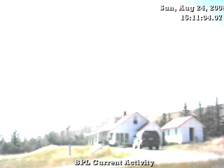 1219605087.jpg 