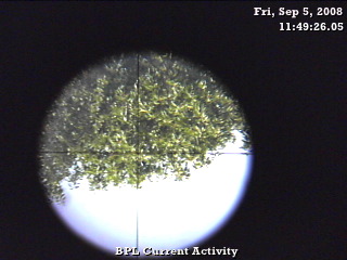 1220630092.jpg 